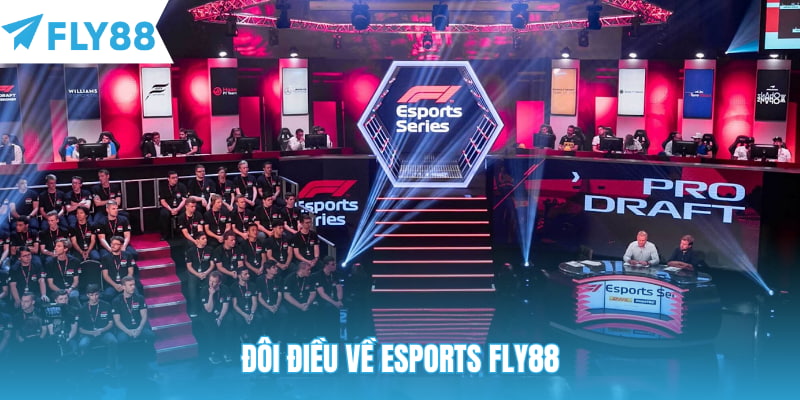 Đôi điều về esports Fly88