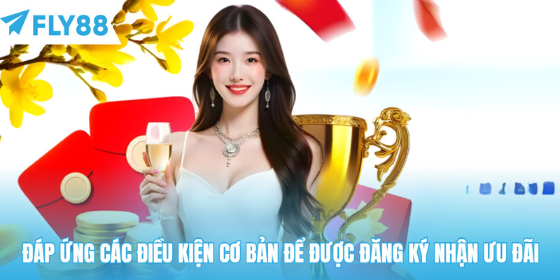 Đáp ứng các điều kiện cơ bản để được đăng ký nhận ưu đãi