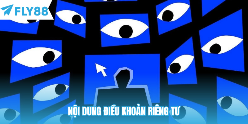 Nội dung điều khoản riêng tư