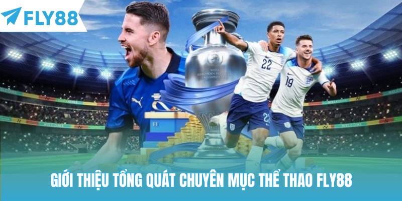 Giới thiệu tổng quát chuyên mục thể thao Fly88